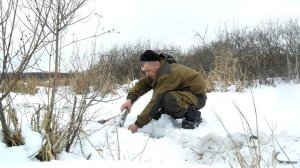 ловля бобров петлями, проверка 2