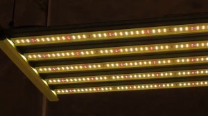 Светильник LED KingBrite X-Plosion Bar 320w UV+IR