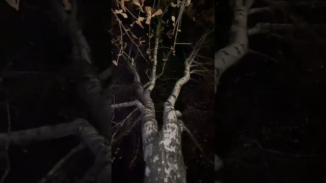 Дни летят смотреть онлайн