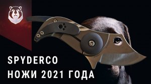 Какой нож выбрать в 2021 году. Spyderco
