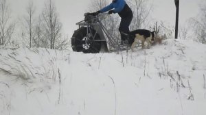 Снегоход каракат гКострома 2017