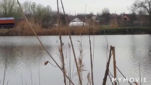 10.04.2021 река Журавка,станица Выселки #веснанакубани #станицавыселки#краснодарскийкрай