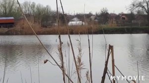 10.04.2021 река Журавка,станица Выселки #веснанакубани #станицавыселки#краснодарскийкрай