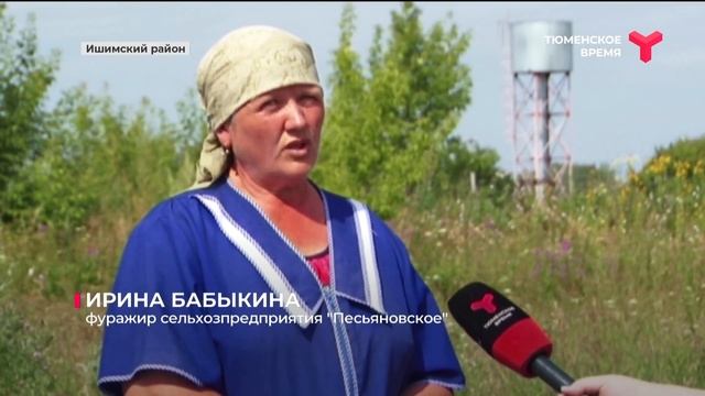 22 % сена и 48 % сенажа от общего объёма заготовили ишимские полеводы смотреть онлайн