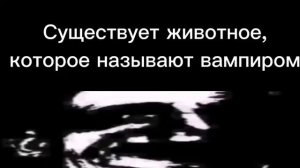 Ты услышал этот факт -3 (Мистер Исключительный жуткие лица)
