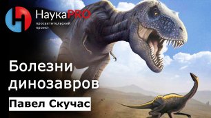 Болезни динозавров | Палеопатология | Лекции по палеонтологии – палеонтолог Павел Скучас | Научпоп