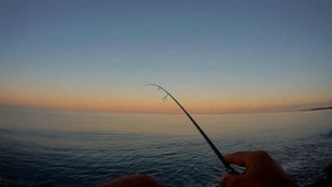 Рокфишинг в Абхазии. Приятная разнорыбица.