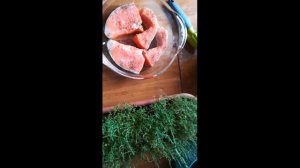 Семга в микроволновке