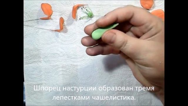 М.К. Настурция из холодного фарфора (цветок). Авторский М.К. Татьяны Несиной. смотреть онлайн