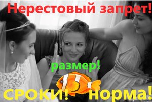 Нерестовый запрет. Сроки, норма и размер! Краснодарский край, Кубань, Азовское море, Ейск.