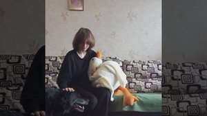 Гусь обнимусь 🦢✨