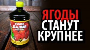 Жидкое удобрение Гумат Калия Клубника 25% фульвокислот 1л