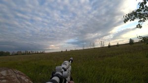 Охота на косулю с манком. Гон у сибирской косули. Roe deer hunting with decoy.  4K Nordik Roe