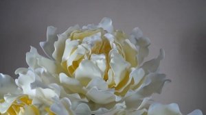 Пион с изолона обзор. Ростовые цветы. DIY. Peony review.