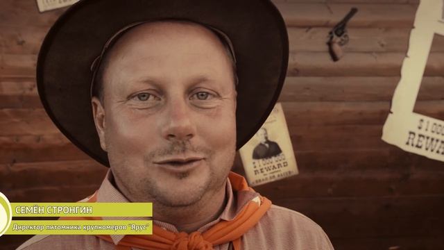 Питомник Ярус? пострадал от налёта питерской ОПГ Принцип Ново?☠️??