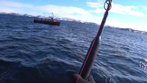 Морская рыбалка в Териберке 2021.Готовим треску в казане на костре. #Териберка #2021# треска