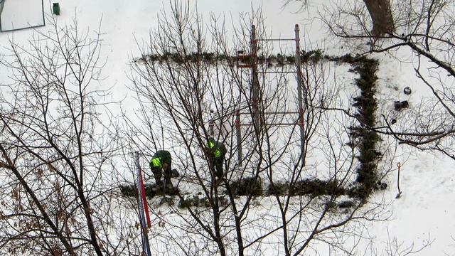 MVI 9951 12.11.2016г. В Москве -7С , пора заняться озеленением. смотреть онлайн