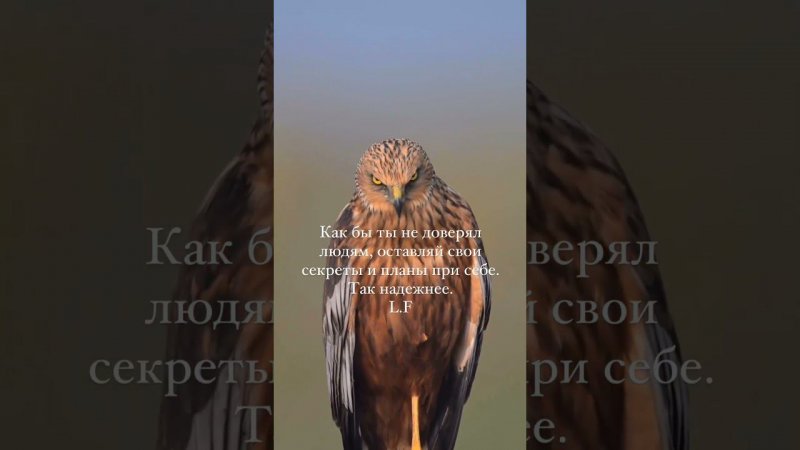 Счастье любит тишину #дальнобойнагазели #дальнобойпороссии #дальнобой #газель6метров #газель