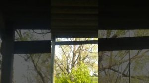 пруд "пргрес" село Ермоловка Пензенская область