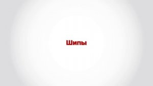 Видеообзор зимней шины Tigar Sigura Stud от Express-Шины