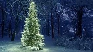 [10 Hours] Snowfall on Christmas Tree in the Woods - Video & Audio [1080HD] SlowTV