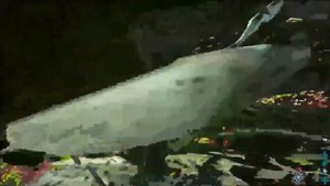 Как приручить карнотавра в ARK