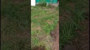 Как сделать заземления в частном доме треугольником