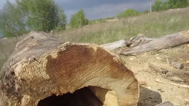 Колода для пчел из бревна своими руками ( 2 часть) смотреть онлайн