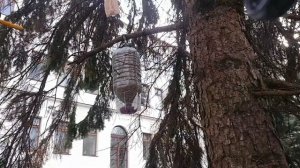 кормушка для синиц через три месяца