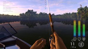 ⚡⚡⚡ Африканский Клариевый Сом | Сомы на реке Конго ⚡⚡⚡