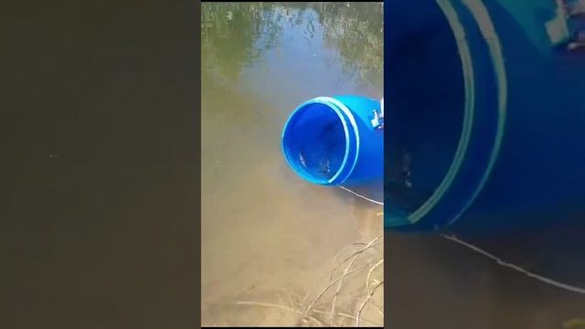 Зарыбляем пруд. смотреть онлайн