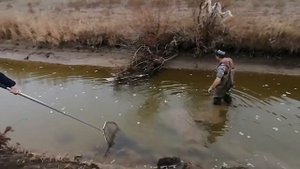 Зимняя рыбалка руками и сачком.