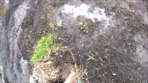 Tinger Scout 690 Тест №3