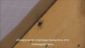 Стропильная система. Врубка стоек. Подкосы. Фермы