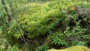 Прогулка по Выборгу. Часть1