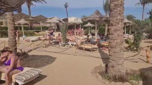Cataract Resort 4* Naama Bay. Пляж и анимация пляжа