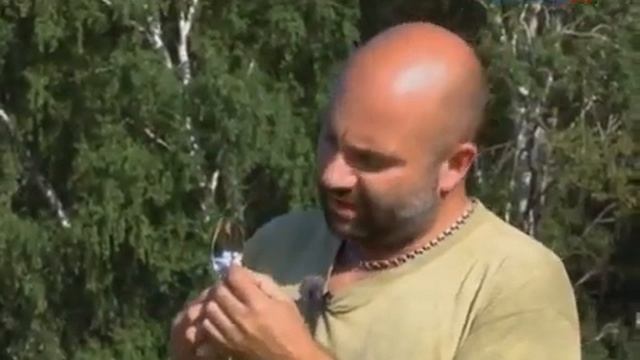 23  Рейтинг Баженова  Могло быть хуже  Цепная реакция