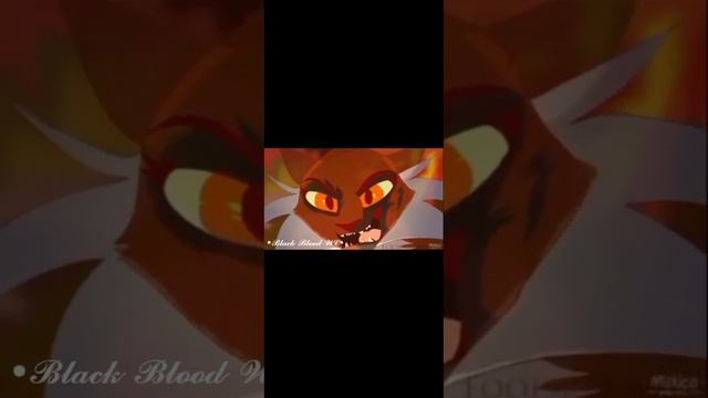 Коты-воители #котывоители #рекомендации #кв смотреть онлайн