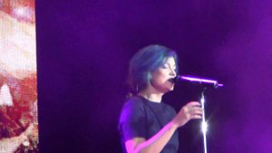 Хелависа группа "Мельница". Чёрный дрозд (Химера).