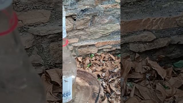 Добываем водород из алюминия.