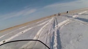 Степные охотники