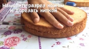 Бисквитный торт со взбитыми сливками