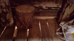 Лесная изба. Одиночный поход. Пробую рыбачить. Добрые походы.