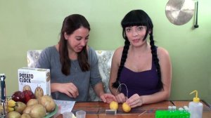 Building a Potato Clock with Elle Viane Sonnet! At-Home Science with Friends #2