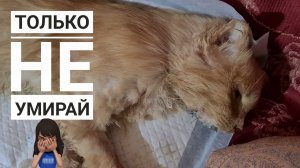 Лаки - НЕ УМИРАЙ