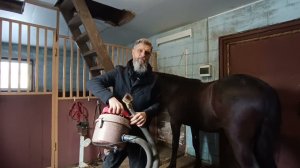 Приучение  лошади к пылесосу.