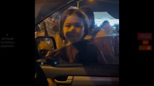 Funny Videos Compilation