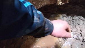 Плывун пройден. Плывун не проблема. Опасный монтаж шахты.