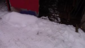 Сколько я смог заработать за 3 года на Камазе