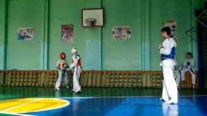 Как дерутся другие на тэквандо